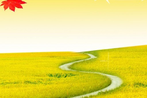 文化传媒龙头股排行榜2025年排名前十名榜单出炉