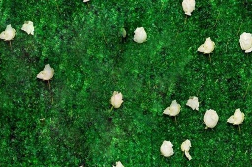 山西十大面食排行榜2025年排名前十名榜单出炉