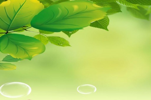 世界上体型特别大的鹦鹉2025年排名前十名榜单出炉